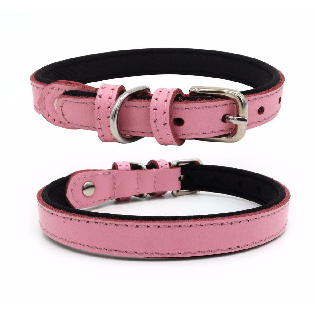 Light Pink Dog Collar - by Doggy Doo Little-0