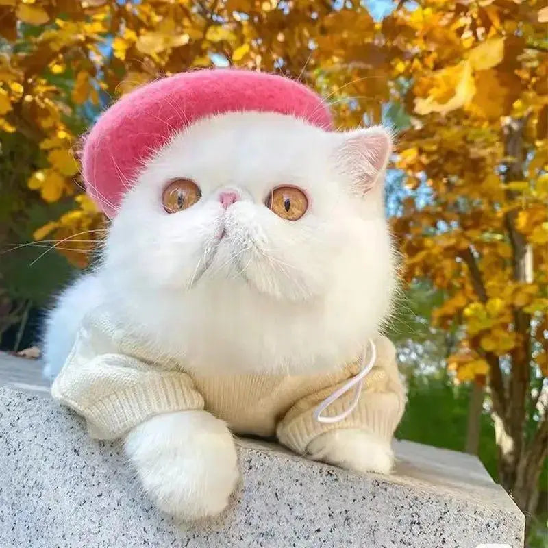 Fashionable Beret for Cats-0