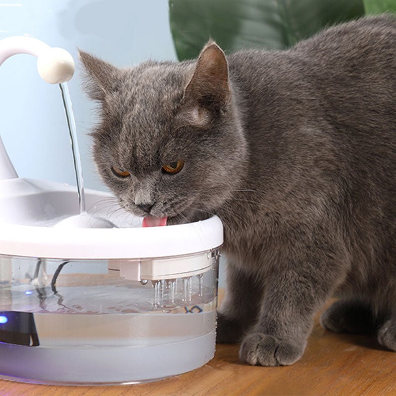 Pet Drinking Fountain-3