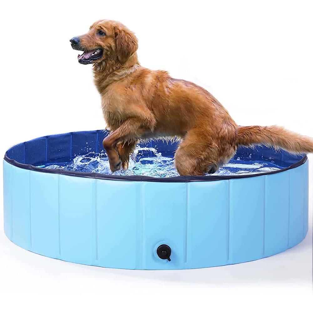 Piscina pentru caini-2