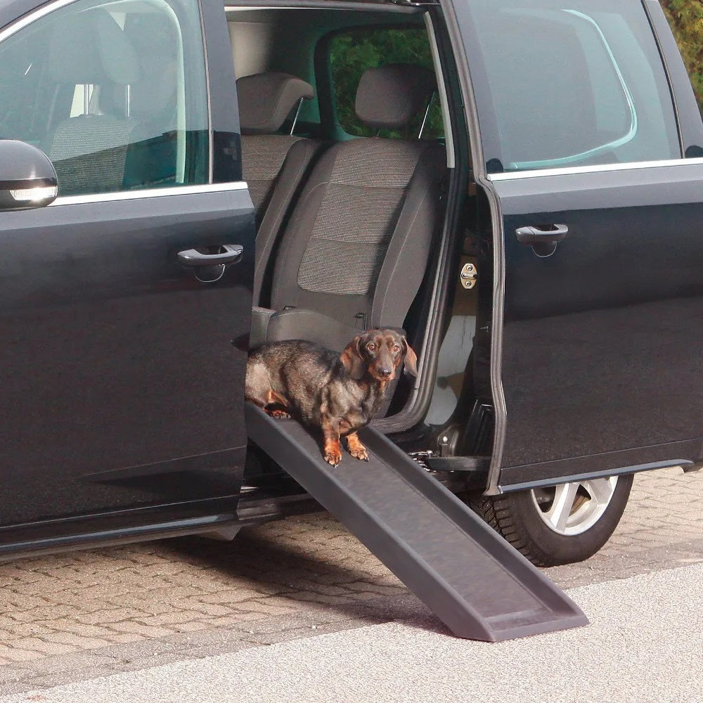 Rampa pentru animale de companie-2